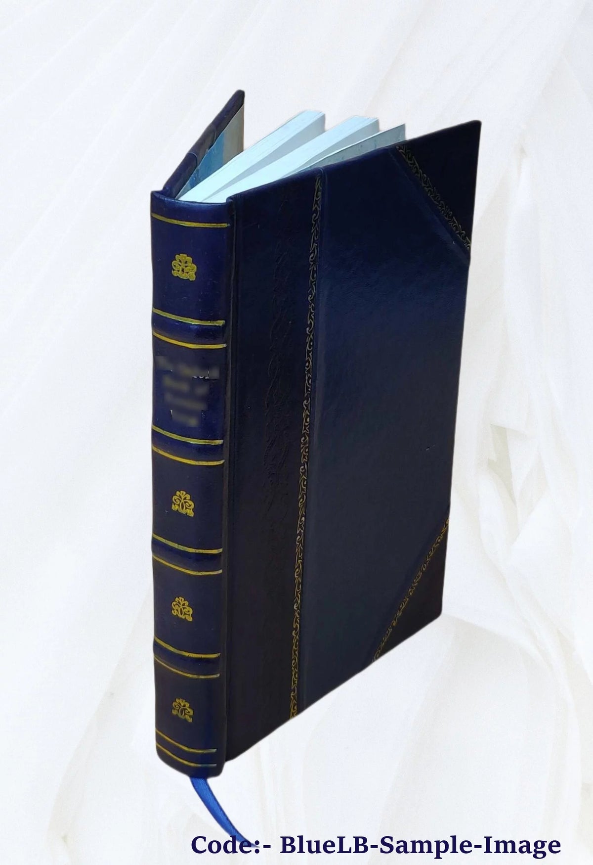 Leather Bound Book U658551
