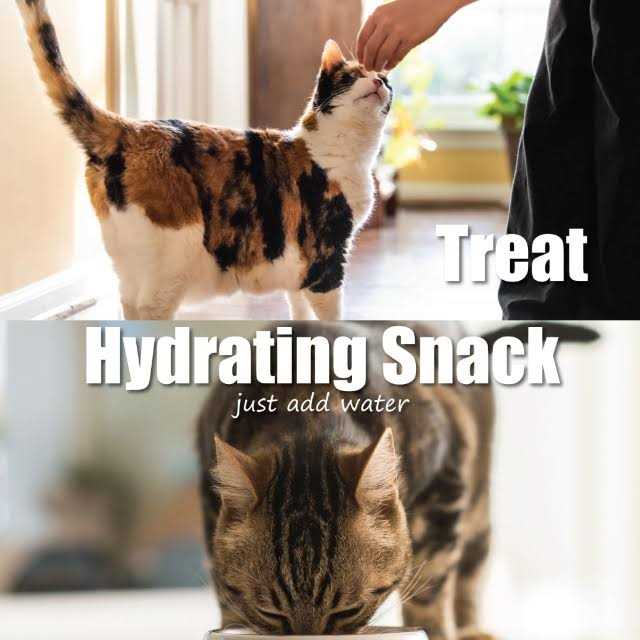 Freeze-Dried Chicken Cat Treats O60401