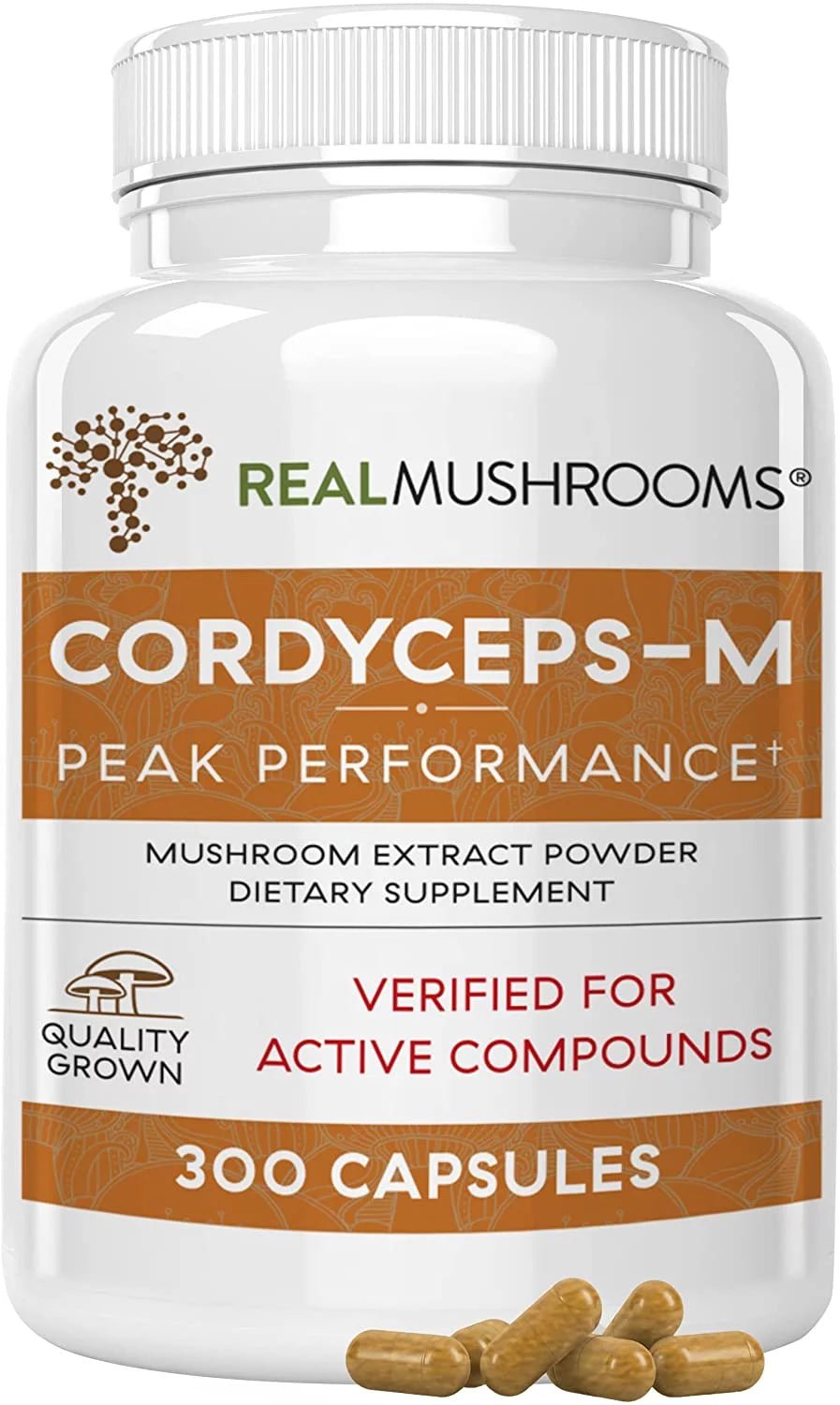 Cordyceps Supplement O468