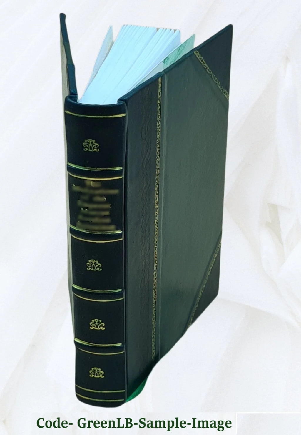 Leather Bound Book U658551